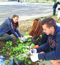 Общността поражда доверие
