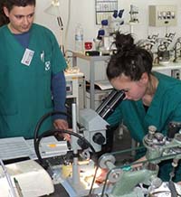 Накъде през новия програмен период