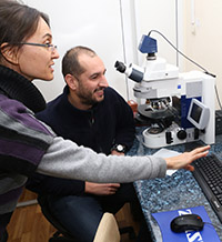 Как се става професор