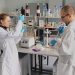Слънчогледът има 100 вида диворастящи родственици