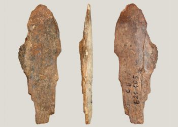 Дрескод от кожа в…  каменната епоха