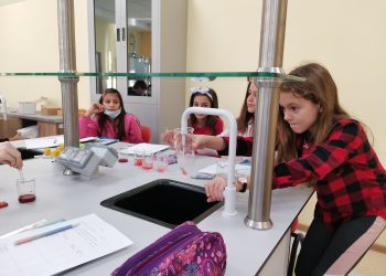 В света  на любопитковците