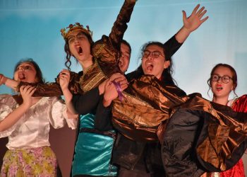 Мерило за професионализъм