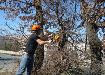 Добрата школа респектира