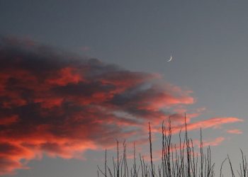 Традиция, наречена „Мисия гора“*