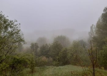 Ключът към природните загадки*