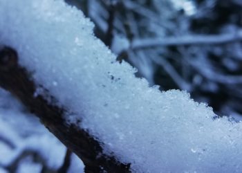 Да бъдем хора, а не потребители*