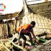 Изминалите 7 години са най-топлите в историята*