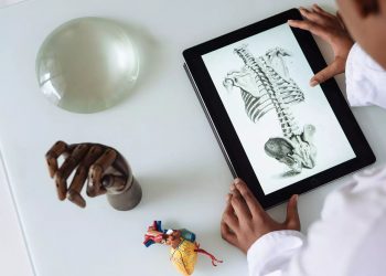 Що е то сонификатор на данни