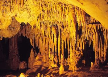 И древните хора са познавали наркотиците