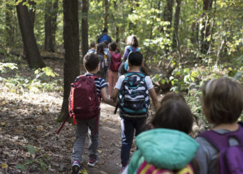 В търсене на съкровище