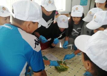 Малките рицари на Северозапада