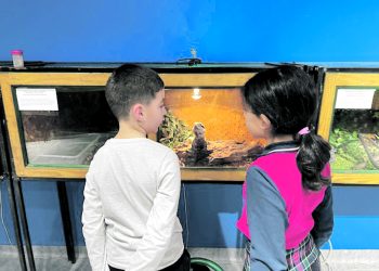 Влечуги от джунглата гостуват на живо в „Музейко“