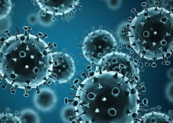 Първа област обяви грипна ваканция