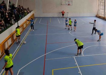 Нежни фурии на терена