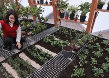 15. СУ „Адам Мицкевич“ в София откри учебна оранжерия