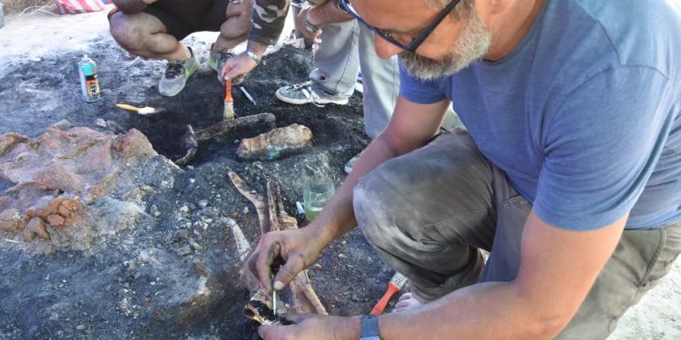 Сензациите на археологическо лято 2024