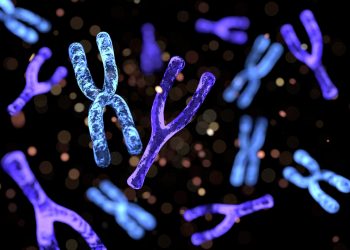 „Събуждането“ на X хромозомата