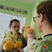 Децата в ДГ „Елица“ Сливен опознават света около себе си чрез игра