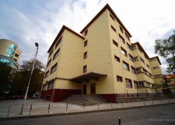 Първи стъпки в кариерния път