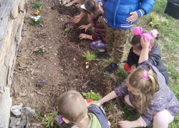 Малки посланици на природата в село Черни Осъм