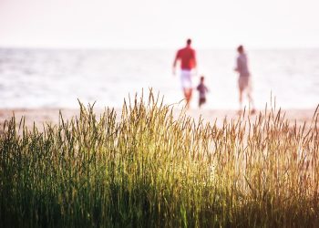 Трупа ли се осигурителен стаж по време на неплатен отпуск