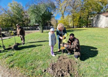 „Алея на будителите“ във Видин