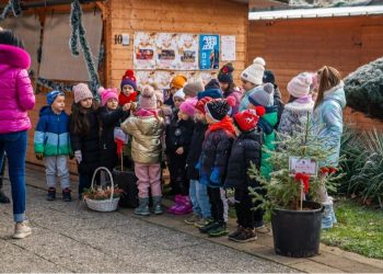 „Елхи на надеждата“ оживяват в Кюстендил