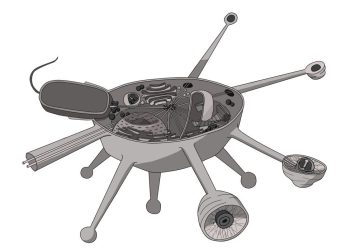 Нов клон в дървото на живота